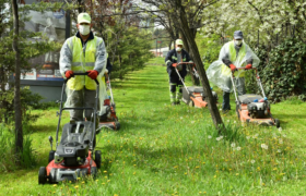 resim_2021-04-25_154917