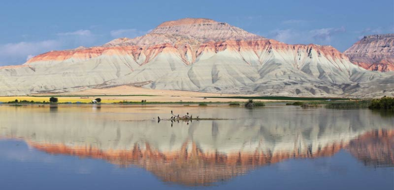 Gezi Rehberi – Nallıhan Kuş Cenneti