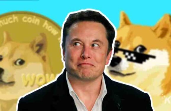 elon-musk-doge-1