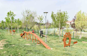 resim_2021-05-07_133748