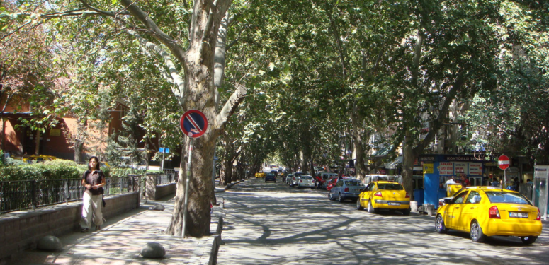 Gezi Rehberi – Kumrular Sokağı