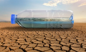 resim_2021-05-31_125906