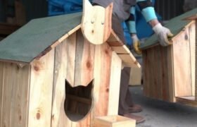 sincan-belediyesi-sokak-hayvanlarina-yuva