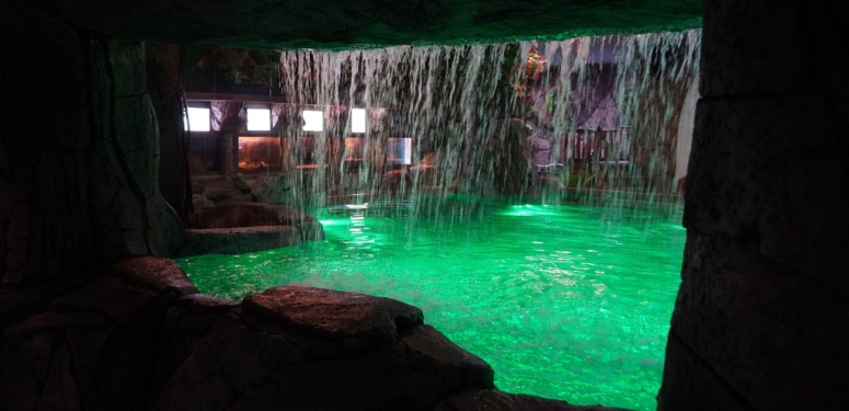 Deniz Dünyası Yeniden Ziyaretçilere Kapısını Açacak