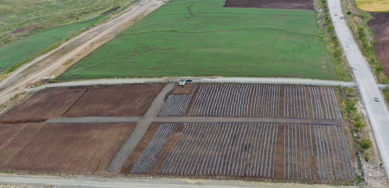 Keçiören’de Yaz Bostanı