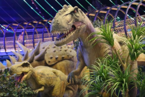 resim_2021-06-27_172209