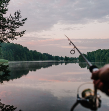 resim_2021-07-05_161508