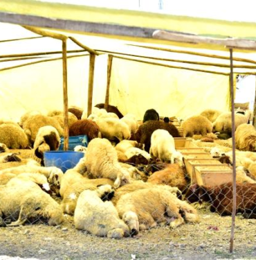 resim_2021-07-08_131859