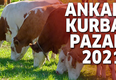 resim_2021-07-13_161920