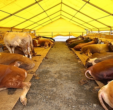 resim_2021-07-13_163332