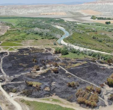 resim_2021-08-03_135545