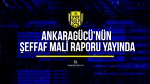 şeffaf mali rapor