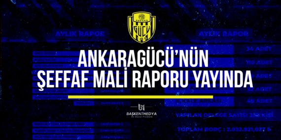 şeffaf mali rapor
