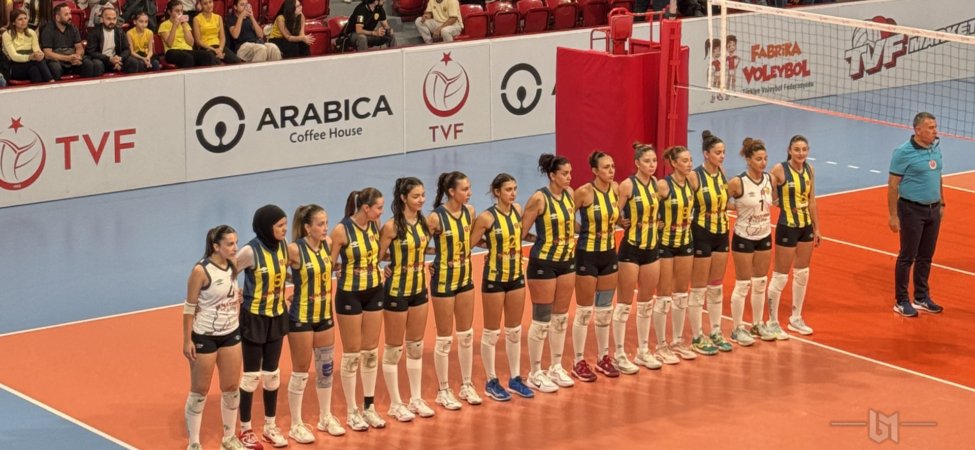 ankaragücü voleybol - dsi